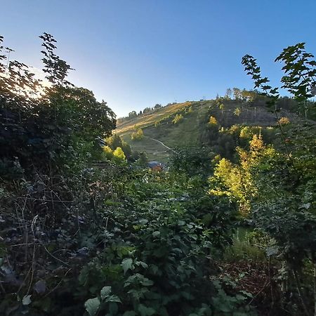 Platell Ferienhausverwaltung Sankt Andreasberg Kültér fotó