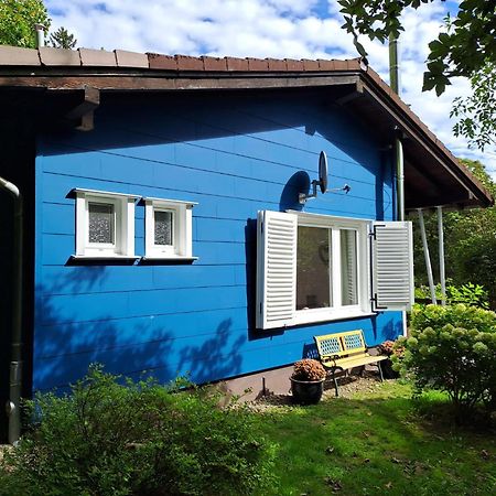 Platell Ferienhausverwaltung Sankt Andreasberg Kültér fotó