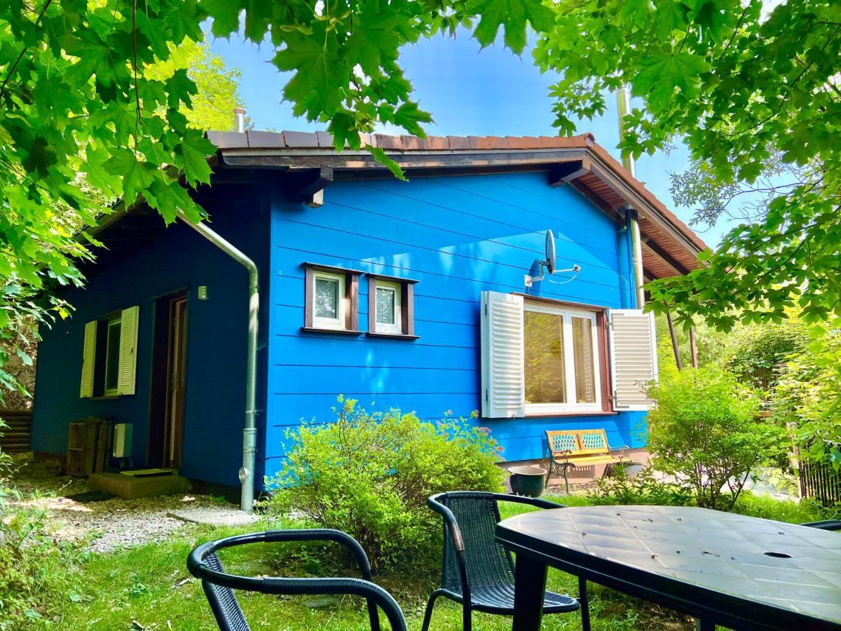 Platell Ferienhausverwaltung Sankt Andreasberg Kültér fotó