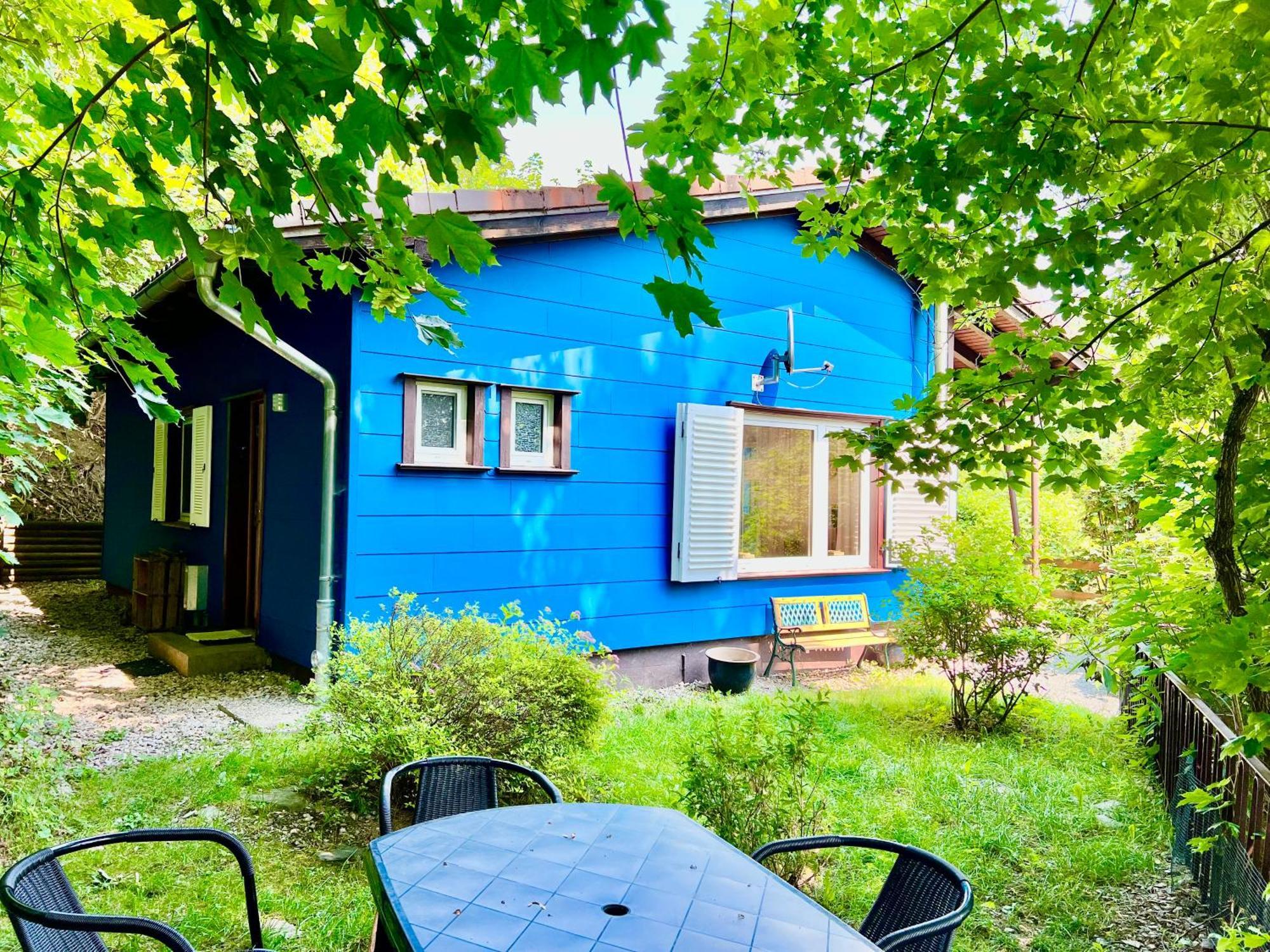 Platell Ferienhausverwaltung Sankt Andreasberg Kültér fotó